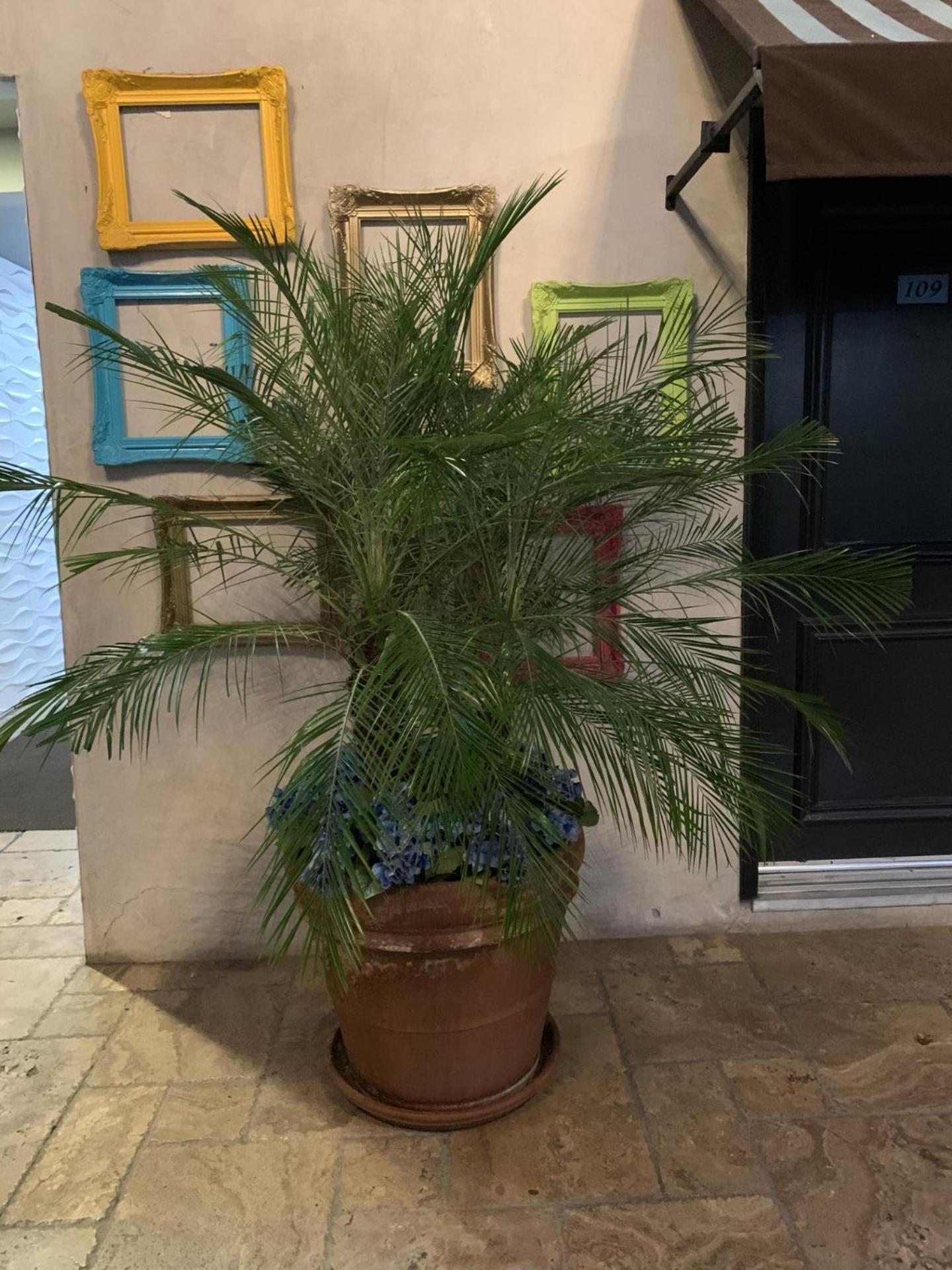 L.A. Sky Boutique Hotel Лос Анджелис Екстериор снимка